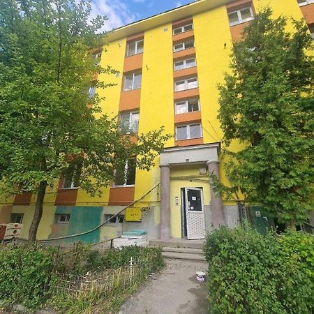 Mural Art Apartament Petroşani Exterior foto